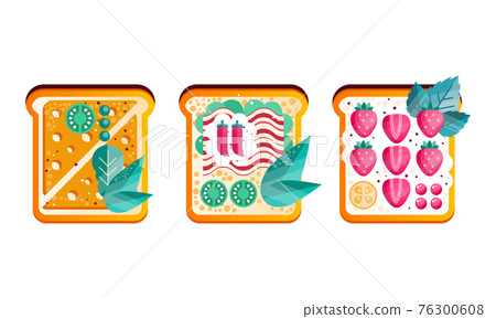 Toast Breads with Different Healthy Ingredients Set, Top View of Sandwiches Flat Vector Illustration 76300608
