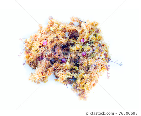 natural moss and berries decoration on white background natural moss and berries decoration on white background 76300695
