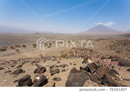 Lake Natron area landscape, Tanzania, Africa. Ol Doinyo Lengai volcano 76301807