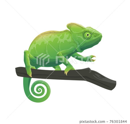 Chameleon cartoon animal on tree branch Chameleon cartoon animal on tree branch 76301844