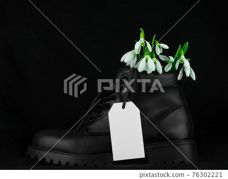 Beautiful white flowers snowdrops or Galanthus bouquet in vase close-up black background. Dark moody floral wallpaper. Beautiful white flowers snowdrops or Galanthus bouquet in vase close-up black background. Dark moody floral wallpaper. 76302221