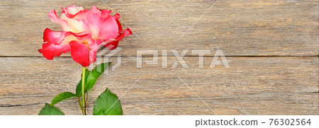 Red rose on a wooden table. 76302564