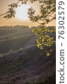 Sun in rural landscape field through the foliage on yellow background. Natural scenery. Countryside sunny morning environment. Vertical summer nature view. Local travel in country 76302579