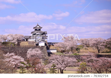 白川市小峰城遺址三重塔（城山公園） 76302734