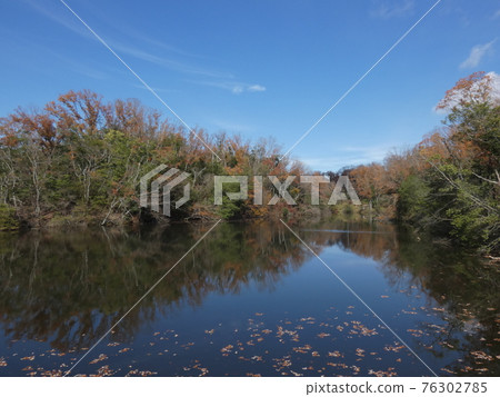 The water surface of the pond reflecting the autumn leaves and the clear sky 76302785