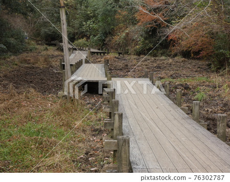 Scenery of a natural garden without customers Scenery of a natural garden without customers 76302787