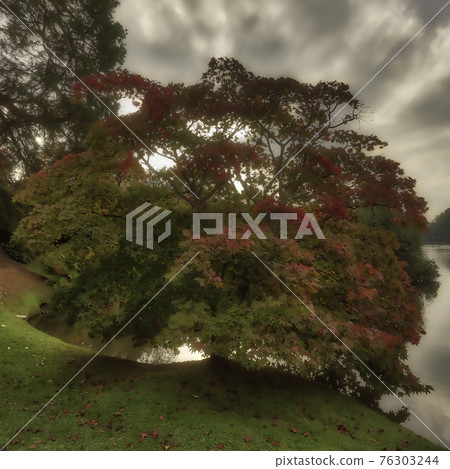 English autumn with Sheffield lake, trees and visible sun rays in Uckfield, East Sussex, UK 76303244