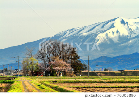 莊內平原的春天、鳥海山和守護者 76303890