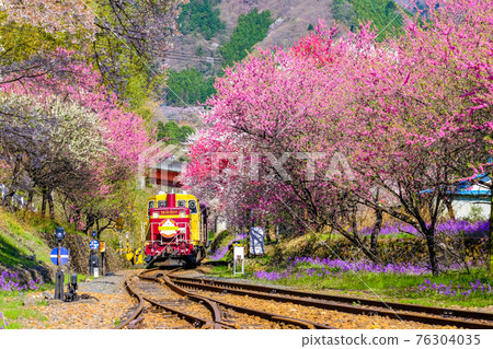 Spring Watarase Valley Railway 3 76304035