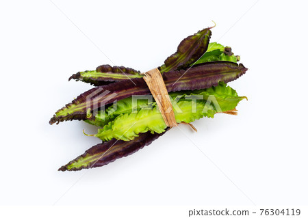 Winged bean on white background. Winged bean on white background. 76304119