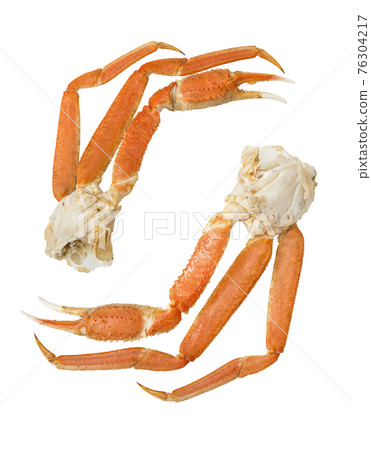 Snow crab  clusters  on a white  background. 76304217