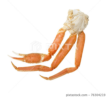 Snow crab cluster on a white background. Snow crab cluster on a white background. 76304219