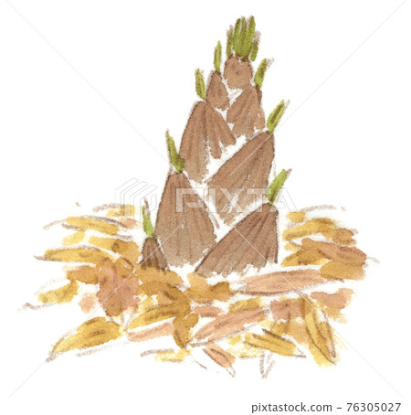 Squeeze the fallen leaves of the bamboo grove and blow bamboo shoots. Spring taste bamboo shoot watercolor illustration 76305027