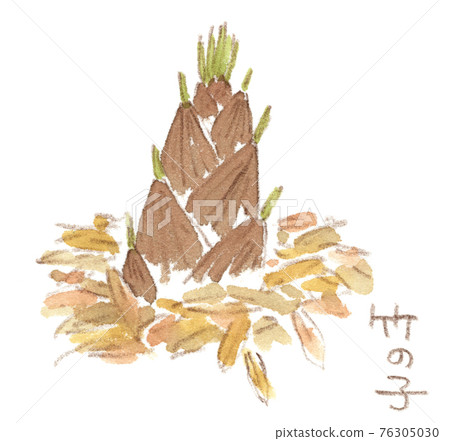 News from spring, taste of spring, watercolor illustration of bamboo shoots 76305030