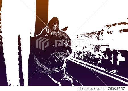 貓貓貓Kijitora白色灰色小貓女女女貓女貓女貓開朗可愛治愈 貓貓貓Kijitora白色灰色小貓女女女貓女貓女貓開朗可愛治愈 76305267