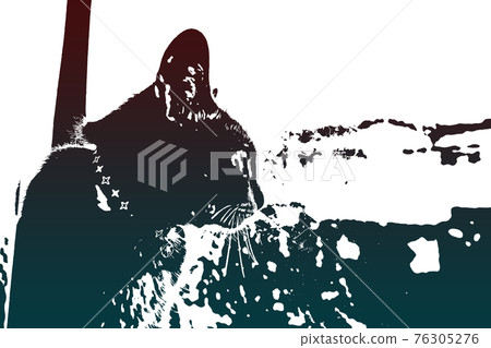 Cat Cat Cat Kijitora White Gray Kitten Female Female Female Cat Female Cat Female Cat Cheerful Cute Healing 76305276