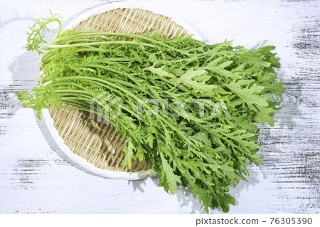 Salad mustard greens (produced in Chiba, Japan): Slightly spicy vegetables, taken in March Salad mustard greens (produced in Chiba, Japan): Slightly spicy vegetables, taken in March 76305390