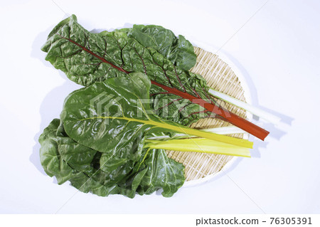 瑞士甜菜(Swiss chard) 學名:Beta vulgaris var. Cicla (L.) 瑞士甜菜(Swiss chard) 學名:Beta vulgaris var. Cicla (L.) 76305391