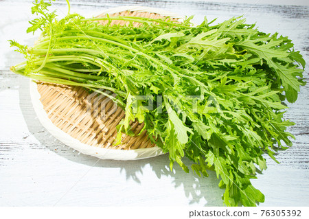 Salad mustard greens (produced in Chiba, Japan): Slightly spicy vegetables, taken in March 76305392