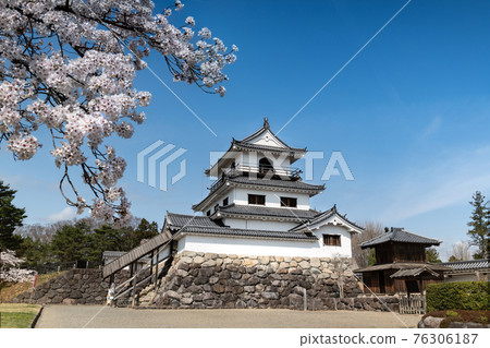 Shiroishi Castle Sakura and castle tower Shiroishi Castle Sakura and castle tower 76306187