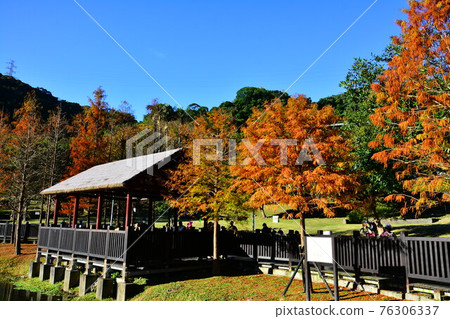 Aboriginal Park Aboriginal Park 76306337