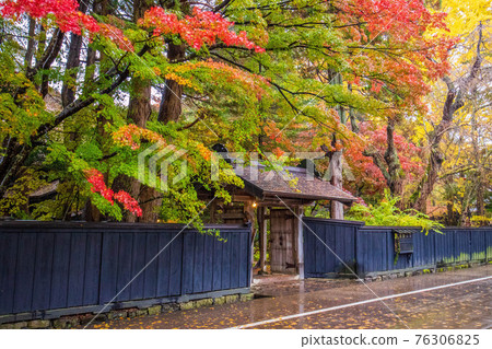 Michinoku's Little Kyoto Akita Kakunodate Autumn Heavy Rain Bukeyashiki Street Ishiguro Family Michinoku's Little Kyoto Akita Kakunodate Autumn Heavy Rain Bukeyashiki Street Ishiguro Family 76306825