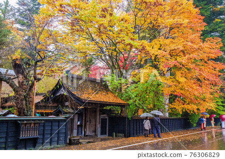 Michinoku's Little Kyoto Akita Kakunodate Autumn Heavy Rain Bukeyashiki Street Aoyagi Family 76306829