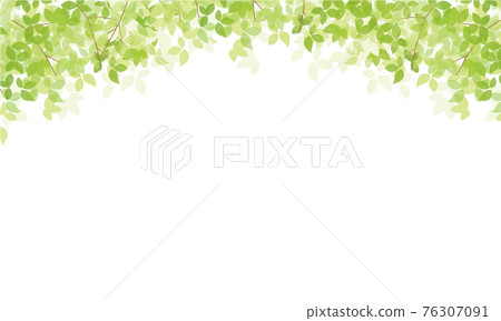 Fresh green_background Fresh green_background 76307091