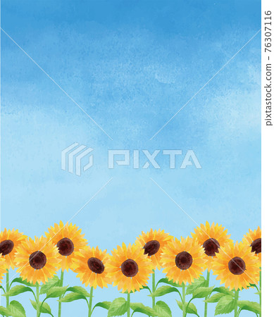 向日葵向日葵藍天向日葵田野夏花插畫手繪 向日葵向日葵藍天向日葵田野夏花插畫手繪 76307116