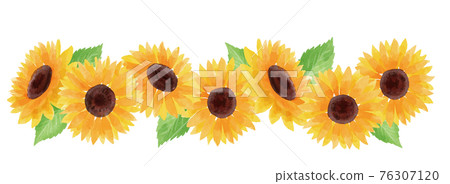 Sunflower sunflower sunflower frame frame summer flower illustration hand-painted Sunflower sunflower sunflower frame frame summer flower illustration hand-painted 76307120