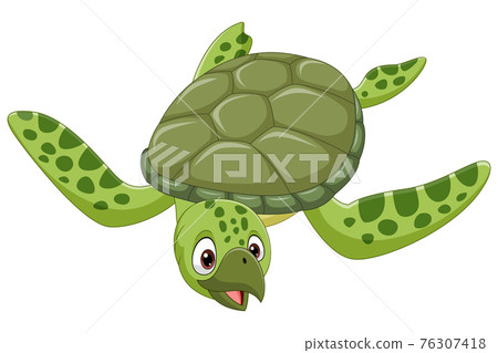 Cartoon sea turtle on white background 76307418