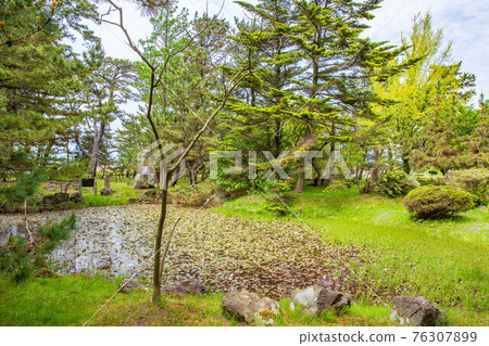 Akita Nikaho Spring Fresh Green Kanmanji Temple Akita Nikaho Spring Fresh Green Kanmanji Temple 76307899