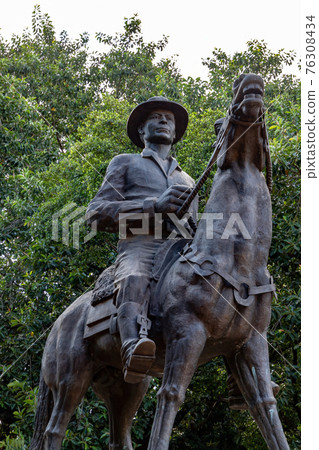 Monument tribute to Pedro Ludovico Teixeira Monument tribute to Pedro Ludovico Teixeira 76308434