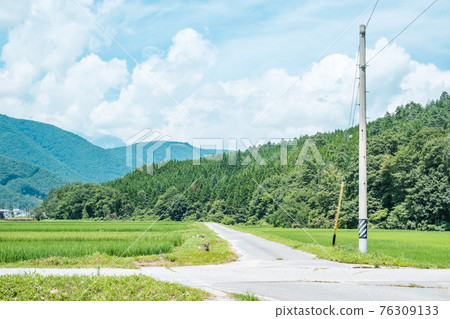 Country landscape in summer Country landscape in summer 76309133