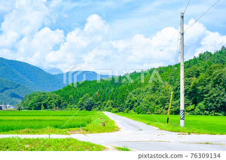 Country landscape in summer 76309134