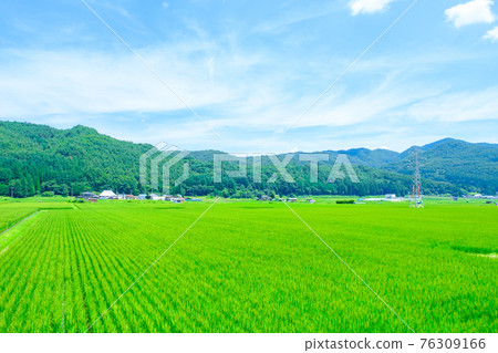 國家景觀在夏天 76309166