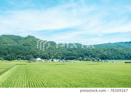 國家景觀在夏天 76309167
