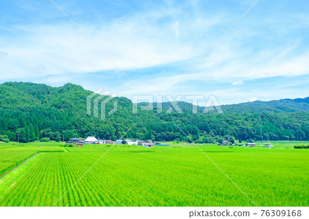 國家景觀在夏天 76309168