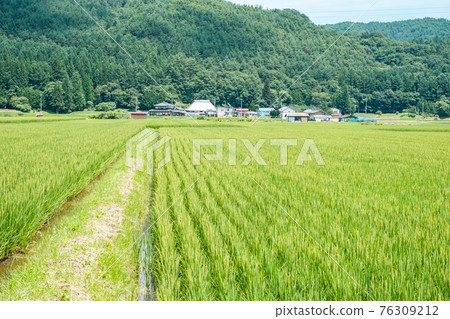 Country landscape in summer 76309212