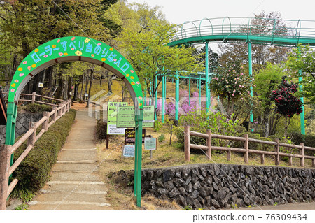 埼玉縣淺間山觀景公園 76309434