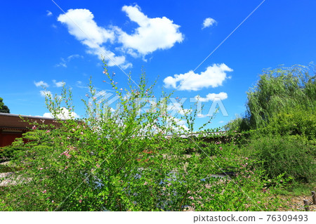 Heijo Palace Remains Historical Park Toin Garden Heijo Palace Remains Historical Park Toin Garden 76309493