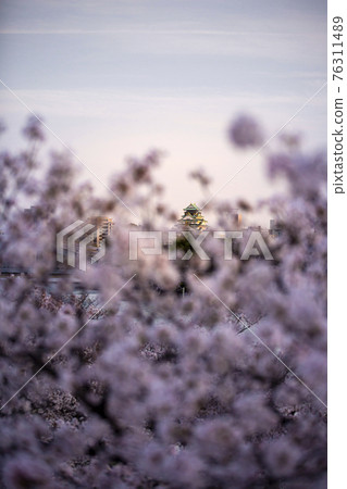 Osaka Castle in spring Osaka Castle in spring 76311489