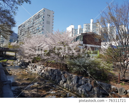 北漢山、國立公園、步道、紅葉、櫻花、正陵溪流 北漢山、國立公園、步道、紅葉、櫻花、正陵溪流 76311721