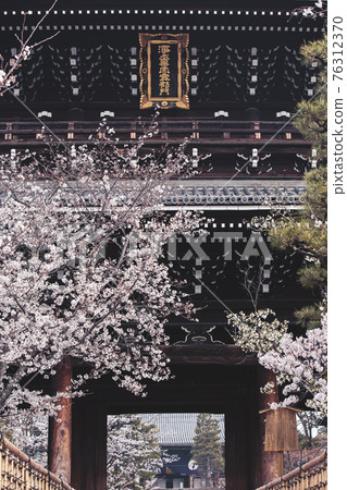 春天的近海光明寺 76312370