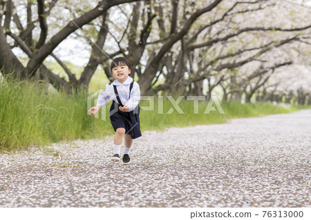 沿著一排櫻花樹奔跑的幼兒園兒童 76313000