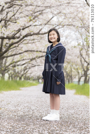 一排盛開的櫻花樹和一個初中生 76313010