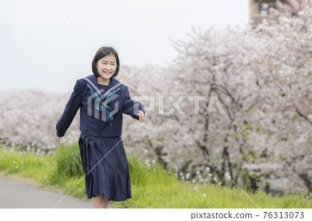 A new junior high school student who walks along the riverbed where cherry blossoms bloom A new junior high school student who walks along the riverbed where cherry blossoms bloom 76313073