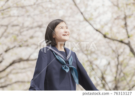 A row of cherry blossom trees in full bloom and a new junior high school student 76313127
