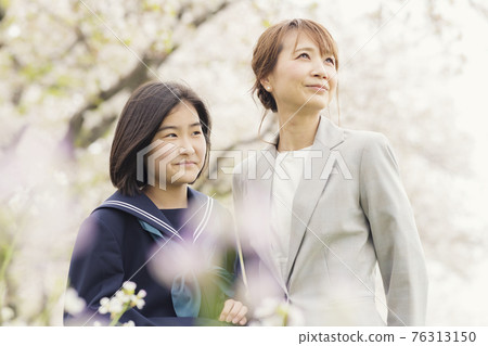 Cherry blossoms in full bloom and mother and child at the entrance ceremony of junior high school 76313150