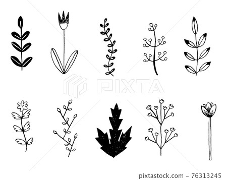簡單的植物圖 76313245